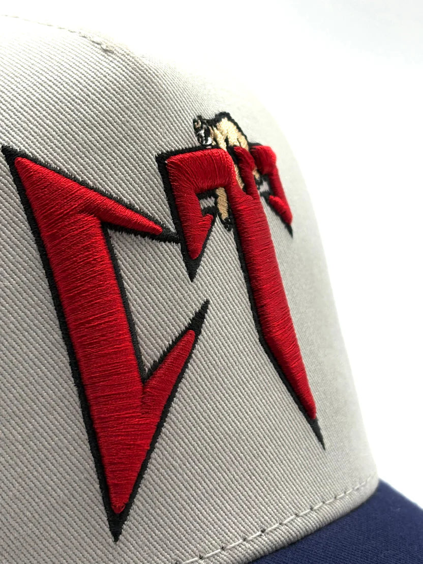 JC HATS "CT GRAY NAVY"