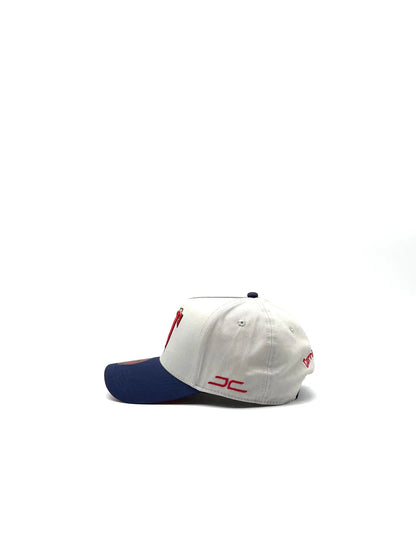 JC HATS "CT GRAY NAVY"
