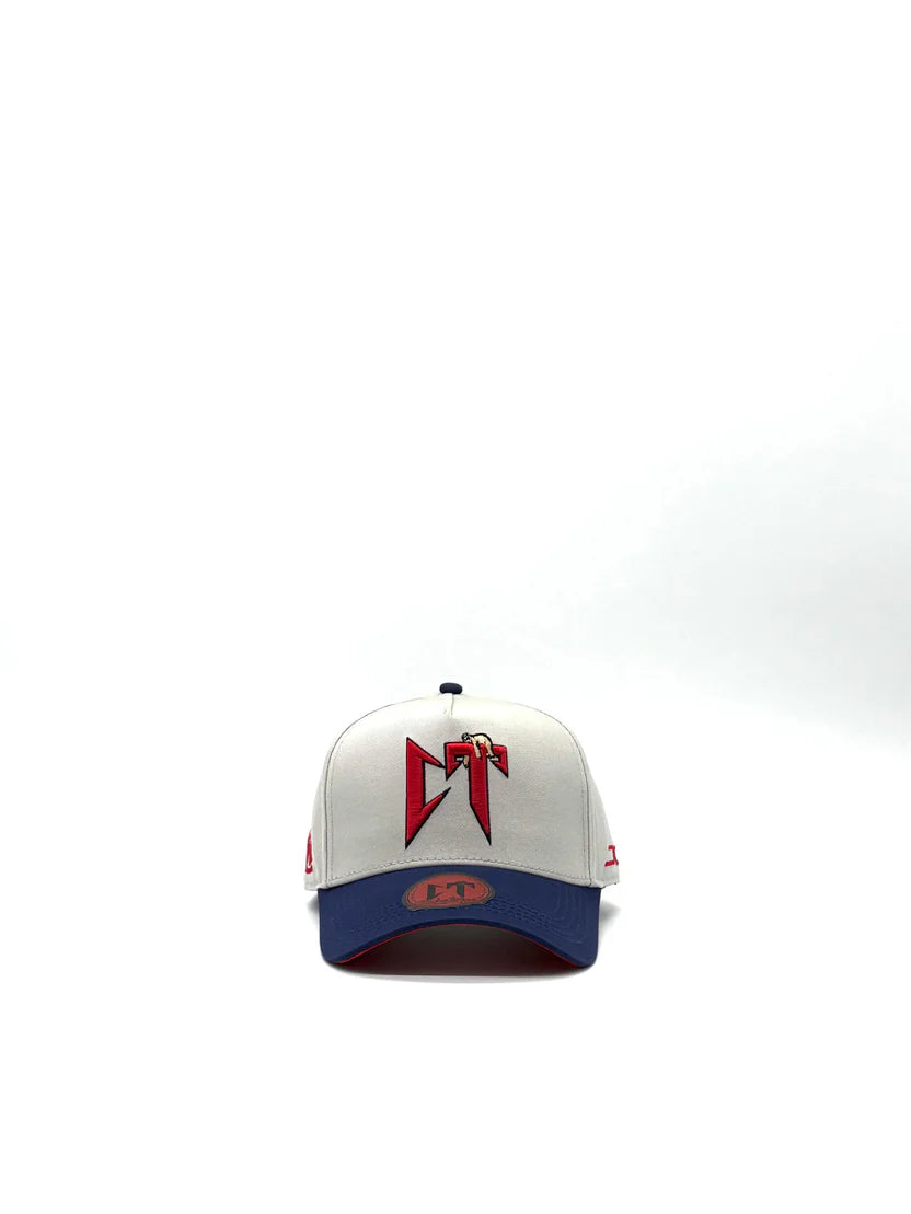 JC HATS "CT GRAY NAVY"