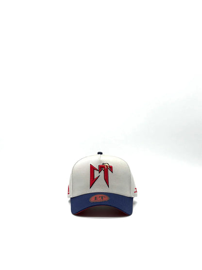 JC HATS "CT GRAY NAVY"