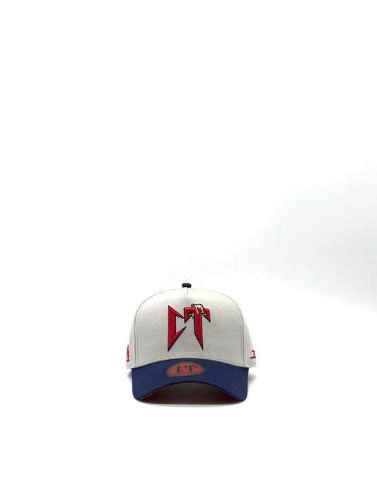 JC HATS "CT GRAY NAVY"