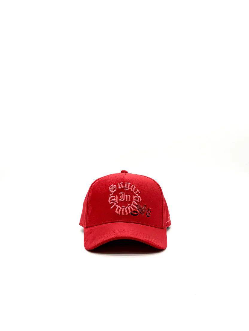 JC HATS SUGAR IN TRAINING