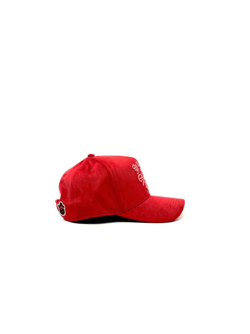 JC HATS SUGAR IN TRAINING