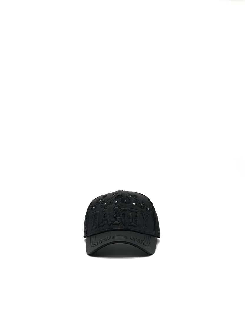 DANDY HATS "DANDY DID THIS"