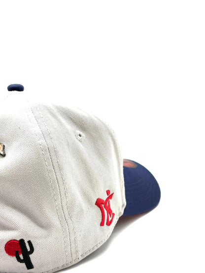 JC HATS "CT GRAY NAVY"